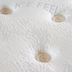 Ανατομικό Στρώμα Hauz Rejuvenate Σκληρό 120X200